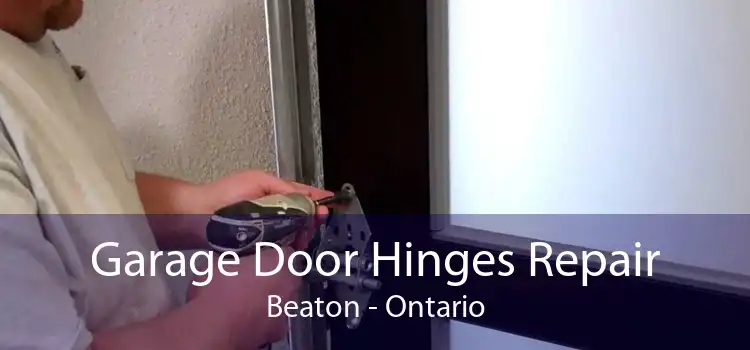 Garage Door Hinges Repair Beaton - Ontario