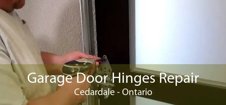 Garage Door Hinges Repair Cedardale - Ontario