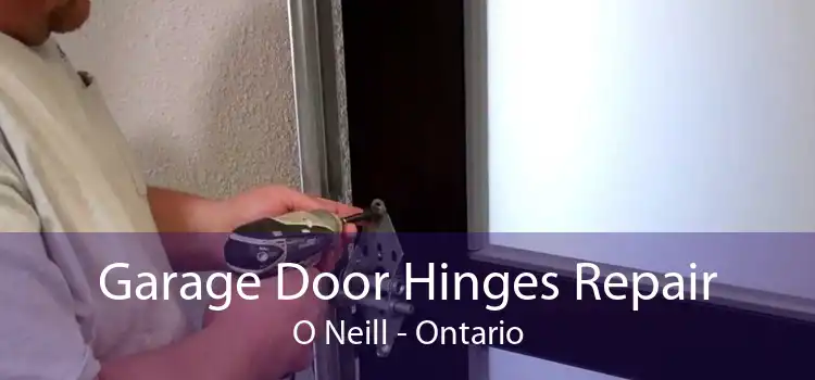 Garage Door Hinges Repair O Neill - Ontario
