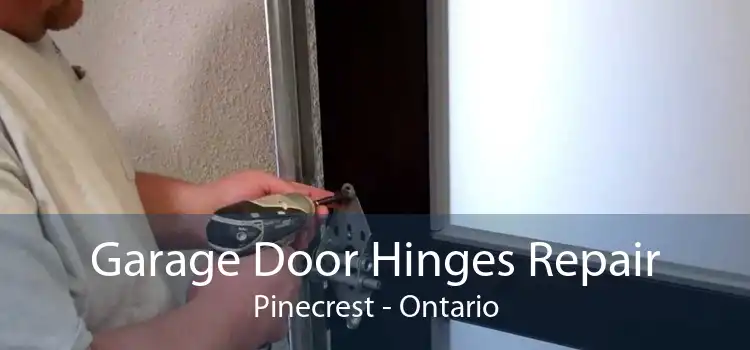 Garage Door Hinges Repair Pinecrest - Ontario