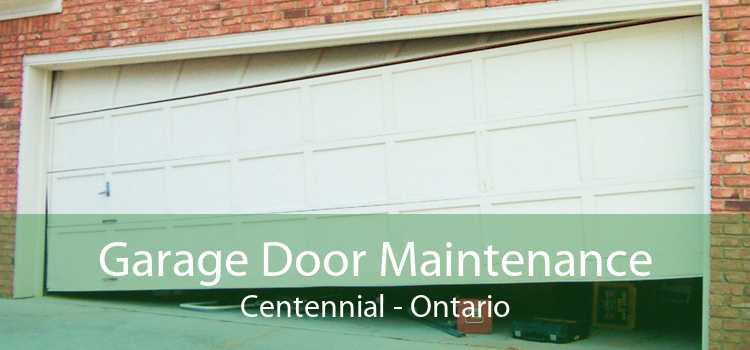 Garage Door Maintenance Centennial - Ontario
