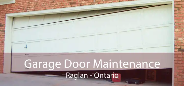 Garage Door Maintenance Raglan - Ontario