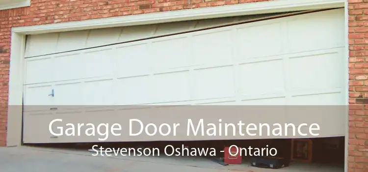 Garage Door Maintenance Stevenson Oshawa - Ontario