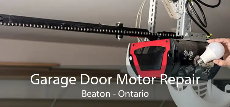 Garage Door Motor Repair Beaton - Ontario