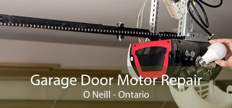 Garage Door Motor Repair O Neill - Ontario