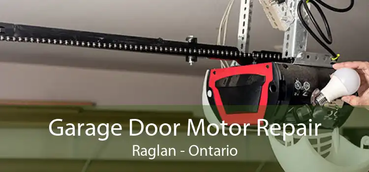 Garage Door Motor Repair Raglan - Ontario