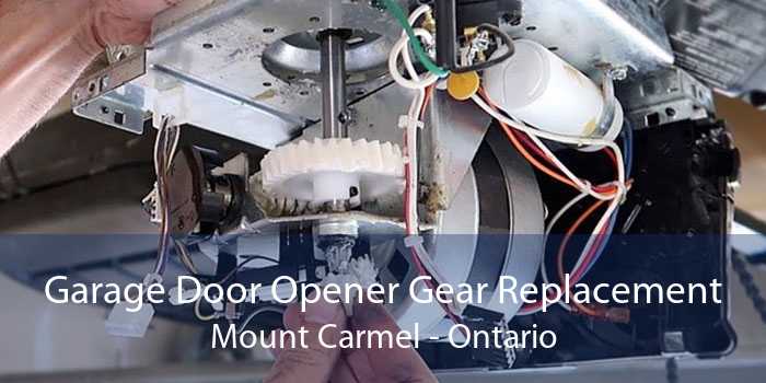 Garage Door Opener Gear Replacement Mount Carmel - Ontario