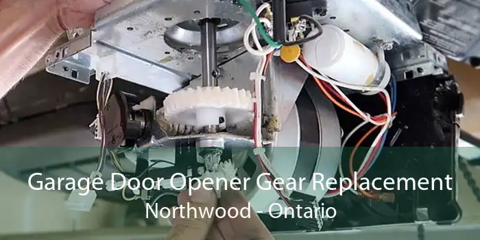Garage Door Opener Gear Replacement Northwood - Ontario