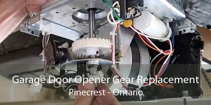 Garage Door Opener Gear Replacement Pinecrest - Ontario