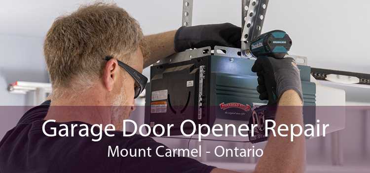 Garage Door Opener Repair Mount Carmel - Ontario