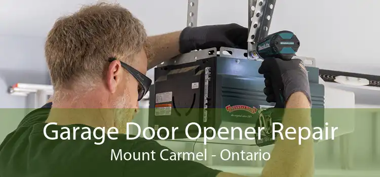 Garage Door Opener Repair Mount Carmel - Ontario