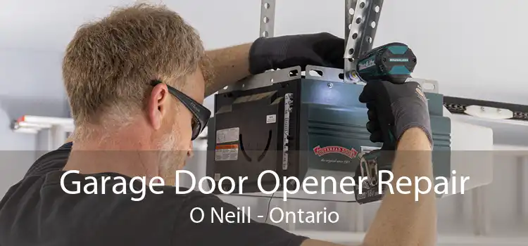 Garage Door Opener Repair O Neill - Ontario