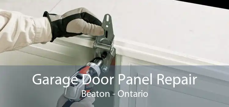 Garage Door Panel Repair Beaton - Ontario