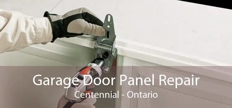 Garage Door Panel Repair Centennial - Ontario
