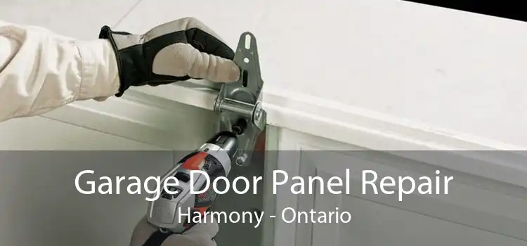 Garage Door Panel Repair Harmony - Ontario