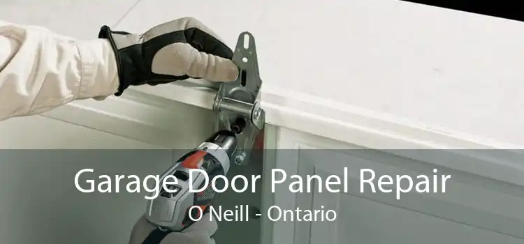 Garage Door Panel Repair O Neill - Ontario