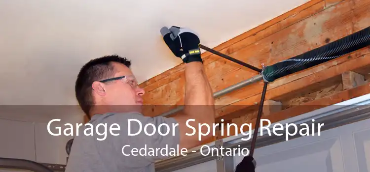 Garage Door Spring Repair Cedardale - Ontario