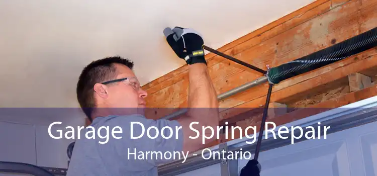Garage Door Spring Repair Harmony - Ontario
