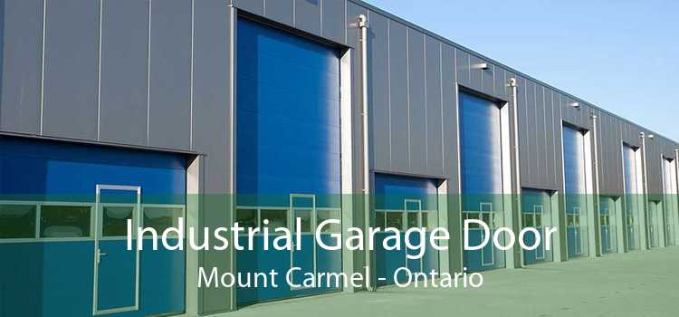 Industrial Garage Door Mount Carmel - Ontario