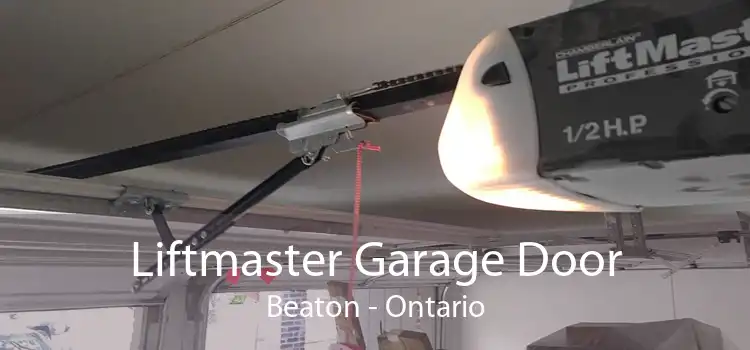 Liftmaster Garage Door Beaton - Ontario