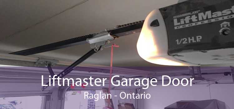 Liftmaster Garage Door Raglan - Ontario