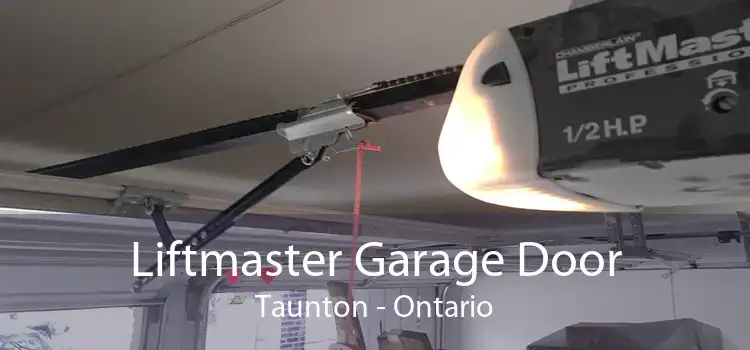 Liftmaster Garage Door Taunton - Ontario