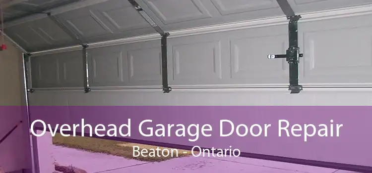Overhead Garage Door Repair Beaton - Ontario