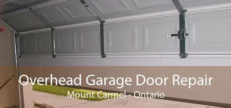 Overhead Garage Door Repair Mount Carmel - Ontario