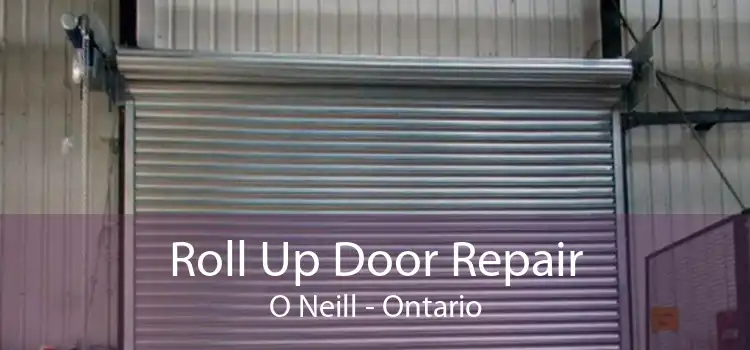 Roll Up Door Repair O Neill - Ontario